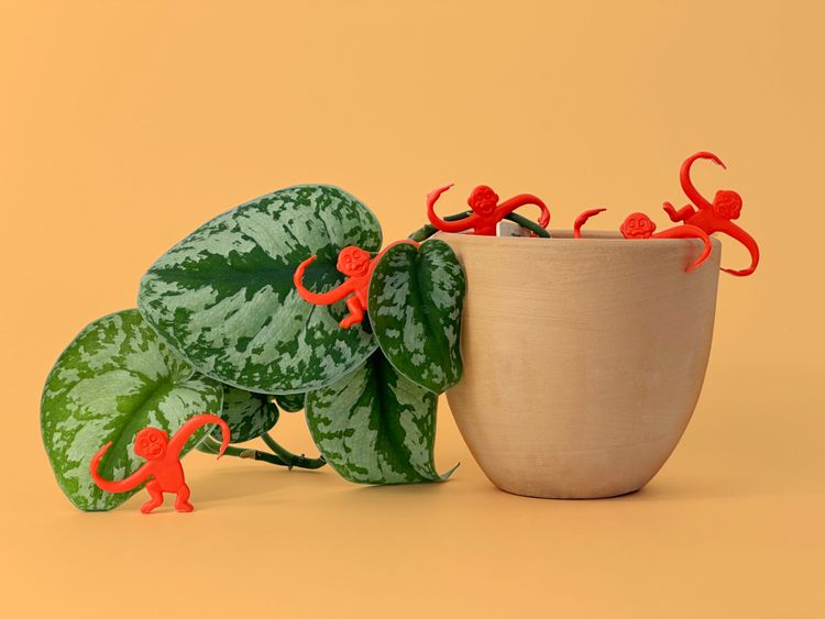 Barrel of monkeys climbing out of plant